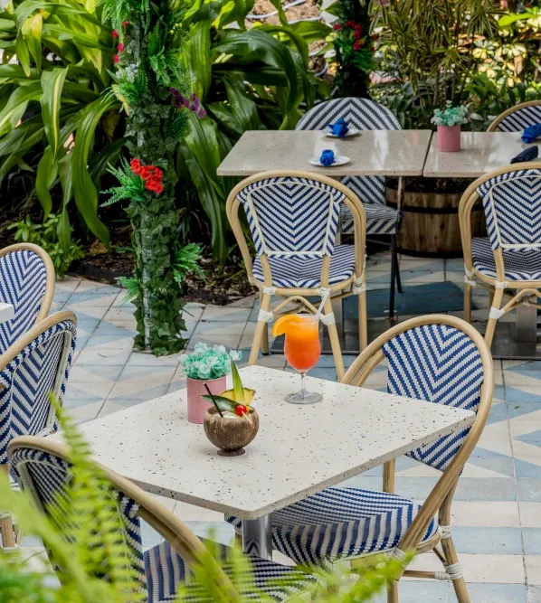 Outdoor café with blue-and-white chevron chairs, tropical plants, and drinks on tables, including an orange cocktail and a drink in a coconut. The setting is bright, lush, and inviting.